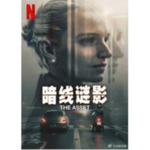 W3934 暗线谜影(2025)	