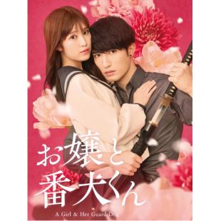 SJ-17245 大小姐和看门犬 