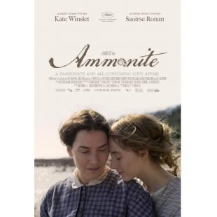 LJ-5374A 菊石（第3版）