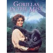 LJ-3490A 迷雾森林十八年 