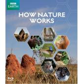 DT-81410【BBC】自然的运作