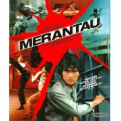 SJ-10242A 精武战士