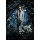 4GBD257371 美丽生灵