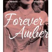 LJ-4936A 除却巫山不是云