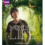 4GBD25D7413 生命的奇迹（双碟装）