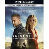 4GBD252396 加尔维斯顿