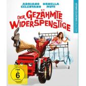 SJ-11154A 驯服恶棍 