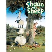 DT-81896 超级无敌羊咩咩 第一季 2BD 