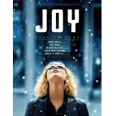 SJ-2071 奋斗的乔伊 