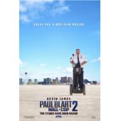 4GBD256937 百货战警2