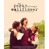 4GBD259730 壁花少年