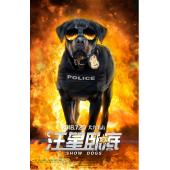 SJ-7650	汪星卧底 