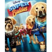 4GBD257664 超级伙伴