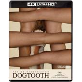 SJ-4783B 狗牙（4K修复版）（第二版） 