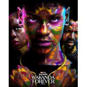 SJ-50048A 黑豹2（BD50+BD25 珍藏版）（独家双版本）