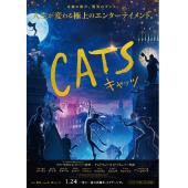 LBD-UU9235 猫(2019)