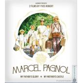 DT-81088 再渡艳阳天(1990)