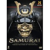 DT-90033 武士刀传奇(2009) 