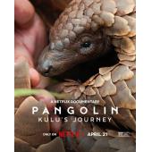 TM-R3918 穿山甲Kulu的旅程