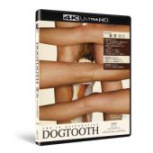 SJ-47019A 狗牙（4K修复版） 