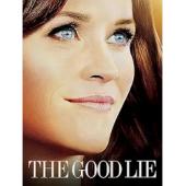 DT-82026 善意的谎言