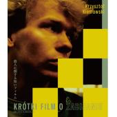 4GBD252836 杀人短片