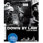 NF-00845 不法之徒 