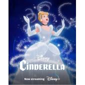 4GBD259657 仙履奇缘1-3（双碟装）