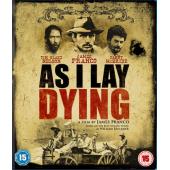 4GBD257910 我弥留之际