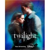 4GBD258572 暮光之城1-5