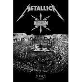 DT-80954 金属乐队2009.法国尼姆现场