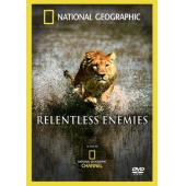 Ipad-0600 国家地理：冷酷宿敌