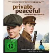 4GBD259789 柑橘与柠檬啊