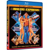 NF-00955 马里布激情快递（4K修复版） 