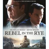 4GBD253476 麦田里的反叛者