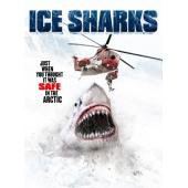 LBD-U3919 冰川鲨鱼