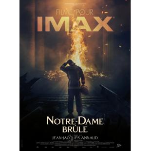 SJ-10138 燃烧的巴黎圣母院 