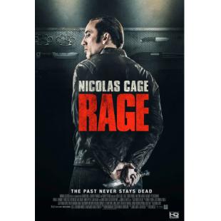 4GBD256148 托卡列夫