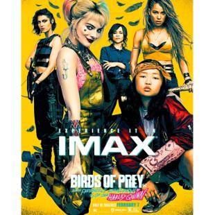 LJ-1656A 猛禽小队和哈莉·奎茵 