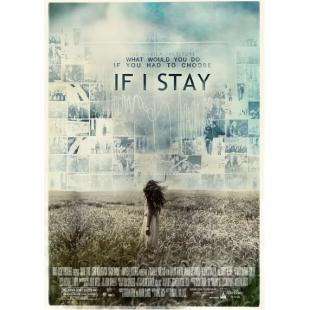 4GBD256516 如果我留下