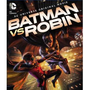 4GBD256824 蝙蝠侠大战罗宾