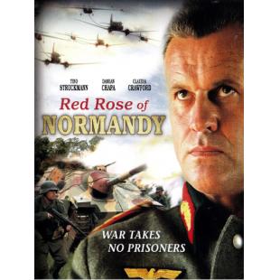 4GBD259296 诺曼底红玫瑰