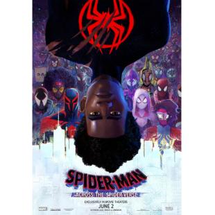 TW-3587	蜘蛛侠：纵横宇宙 