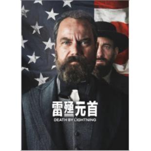 W3941 雷殛元首(2025)