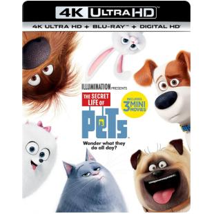 LJ-6001A 爱宠大机密1-2【2碟】