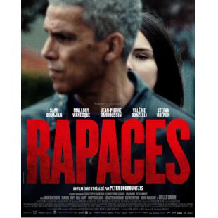 SJ-17252 鸷鸟盘桓 