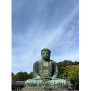 4GBD25D9442 镰仓百景--巡迴寺社和路、季节古都之旅 	