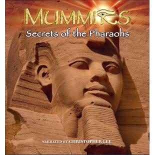 4GBD25D8657 木乃伊法老之谜