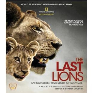 4GBD25D8740 最后的狮子