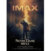 SJ-10138 燃烧的巴黎圣母院 